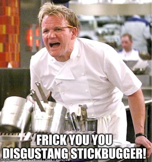 Chef Gordon Ramsay Meme | FRICK YOU YOU DISGUSTANG STICKBUGGER! | image tagged in memes,chef gordon ramsay | made w/ Imgflip meme maker