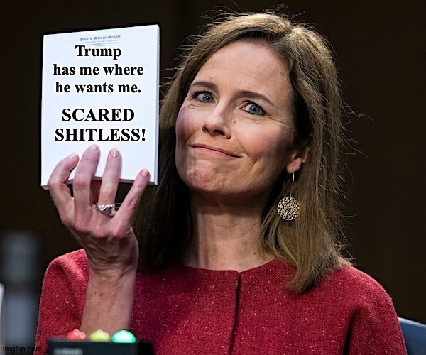 Just another Trump lackey. | Trump has me where he wants me. SCARED 
SHITLESS! | image tagged in amy coney barrett blank notes | made w/ Imgflip meme maker