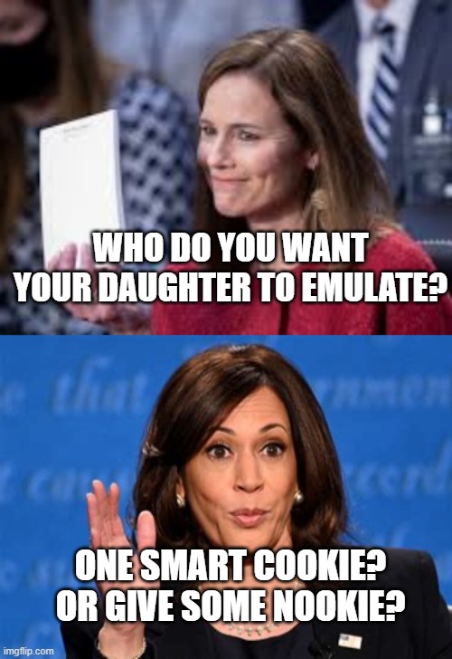 Confirm ASAP | WHO DO YOU WANT YOUR DAUGHTER TO EMULATE? ONE SMART COOKIE? OR GIVE SOME NOOKIE? | image tagged in skreeching,justice,kamala harris | made w/ Imgflip meme maker