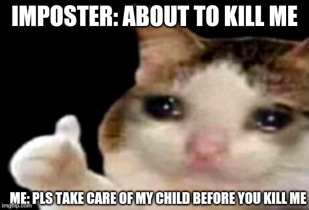 Sad cat | IMPOSTER: ABOUT TO KILL ME; ME: PLS TAKE CARE OF MY CHILD BEFORE YOU KILL ME | image tagged in sad cat thumbs up | made w/ Imgflip meme maker