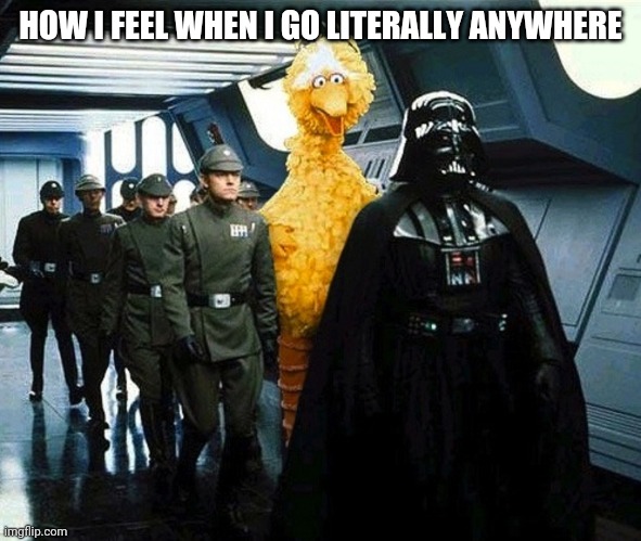 vader big bird | HOW I FEEL WHEN I GO LITERALLY ANYWHERE | image tagged in vader big bird | made w/ Imgflip meme maker