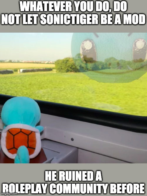 Deep thoughts Squirtle | WHATEVER YOU DO, DO NOT LET SONICTIGER BE A MOD; HE RUINED A ROLEPLAY COMMUNITY BEFORE | image tagged in deep thoughts squirtle | made w/ Imgflip meme maker