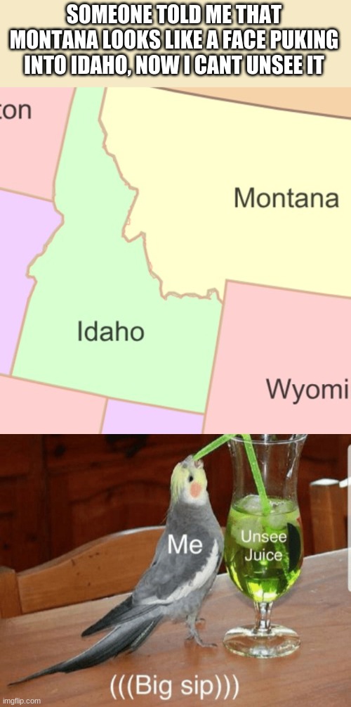 You can never unsee this | SOMEONE TOLD ME THAT MONTANA LOOKS LIKE A FACE PUKING INTO IDAHO, NOW I CANT UNSEE IT | image tagged in unsee juice,united states,montana,idaho | made w/ Imgflip meme maker