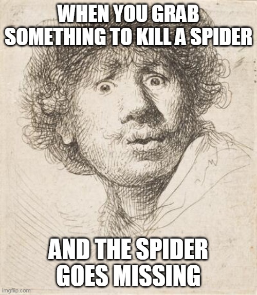 Art | WHEN YOU GRAB SOMETHING TO KILL A SPIDER; AND THE SPIDER GOES MISSING | image tagged in boring,art | made w/ Imgflip meme maker