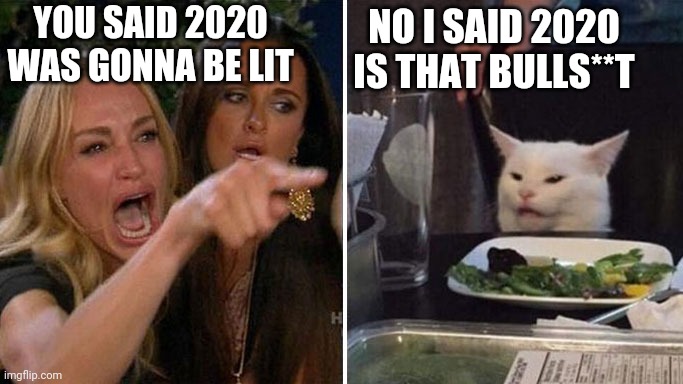Argument | YOU SAID 2020 WAS GONNA BE LIT; NO I SAID 2020 IS THAT BULLS**T | image tagged in angry lady cat | made w/ Imgflip meme maker