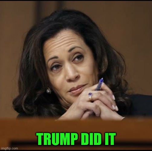 Kamala Harris  | TRUMP DID IT | image tagged in kamala harris | made w/ Imgflip meme maker