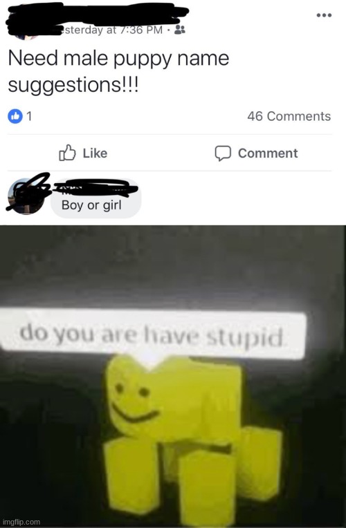 STUPI | image tagged in do you are have stupid,stupid people | made w/ Imgflip meme maker