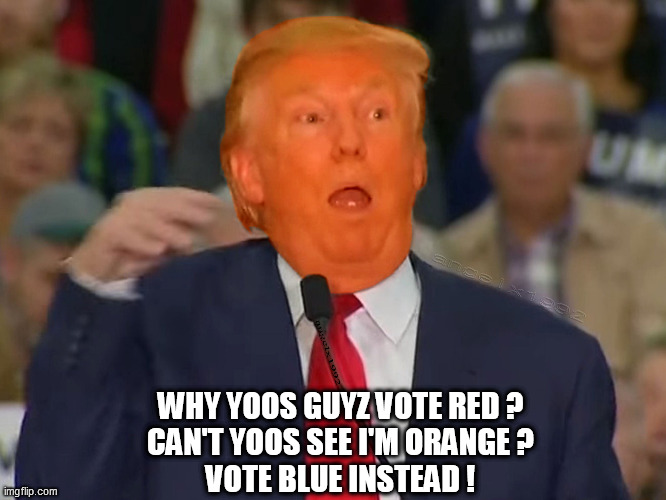 trump | WHY YOOS GUYZ VOTE RED ?
CAN'T YOOS SEE I'M ORANGE ?
VOTE BLUE INSTEAD ! | image tagged in trump,orange trump,donald trump the clown,mocking,dump trump,idiot | made w/ Imgflip meme maker