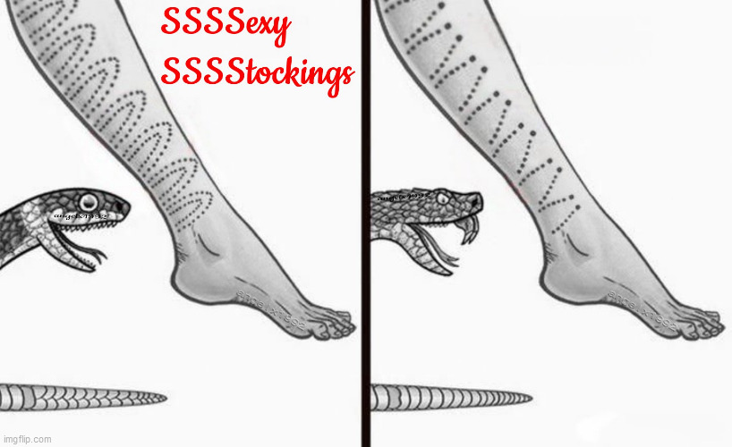 image tagged in snake,snakes,stockings,panty hose,legs,bite | made w/ Imgflip meme maker