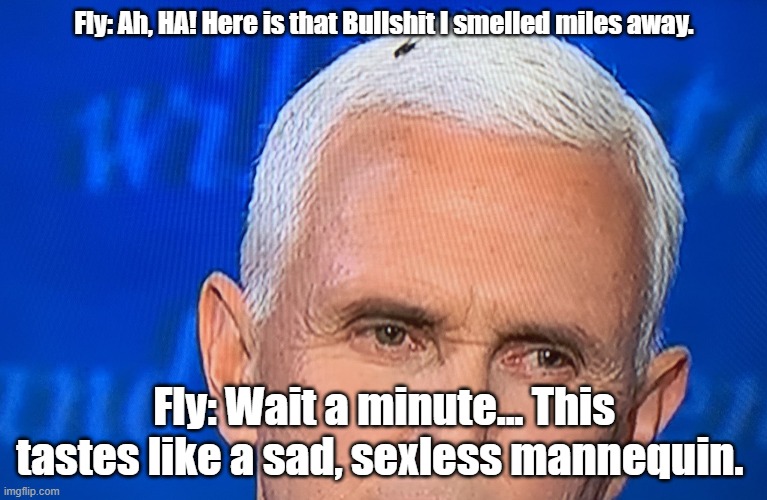 Pence Fly | Fly: Ah, HA! Here is that Bullshit I smelled miles away. Fly: Wait a minute... This tastes like a sad, sexless mannequin. | image tagged in pence fly,attracted to bs | made w/ Imgflip meme maker