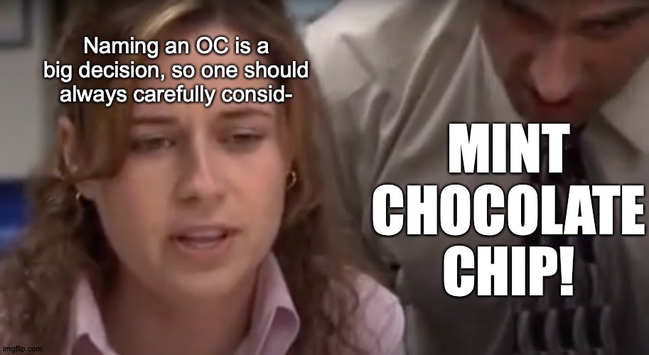 Naming an OC is a big decision, so one should always carefully consid- MINT CHOCOLATE CHIP! | made w/ Imgflip meme maker