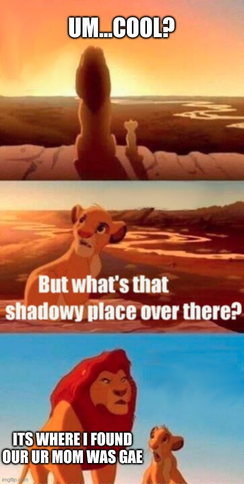 gae mom | UM...COOL? ITS WHERE I FOUND OUR UR MOM WAS GAE | image tagged in memes,simba shadowy place | made w/ Imgflip meme maker