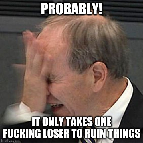 facepalm | PROBABLY! IT ONLY TAKES ONE FUCKING LOSER TO RUIN THINGS | image tagged in facepalm | made w/ Imgflip meme maker