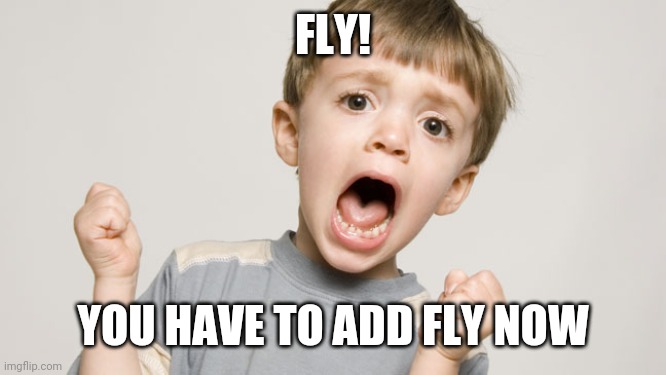 screaming child  | FLY! YOU HAVE TO ADD FLY NOW | image tagged in screaming child | made w/ Imgflip meme maker