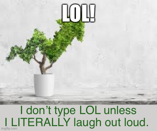 LOL! I don’t type LOL unless I LITERALLY laugh out loud. | made w/ Imgflip meme maker