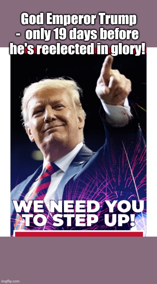 TRUMP LANDSLIDE 2020 | God Emperor Trump -  only 19 days before he's reelected in glory! | image tagged in vote trump,2020,libtards,suck | made w/ Imgflip meme maker
