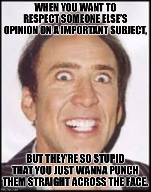 Dumb opinions | WHEN YOU WANT TO RESPECT SOMEONE ELSE’S OPINION ON A IMPORTANT SUBJECT, BUT THEY’RE SO STUPID THAT YOU JUST WANNA PUNCH THEM STRAIGHT ACROSS THE FACE. | image tagged in crazy nick cage | made w/ Imgflip meme maker