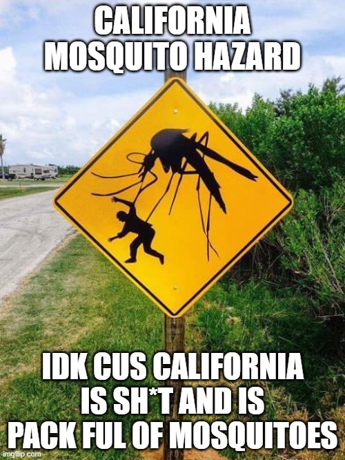 California mosquitos hazard | CALIFORNIA MOSQUITO HAZARD; IDK CUS CALIFORNIA IS SH*T AND IS PACK FUL OF MOSQUITOES | image tagged in mosquito | made w/ Imgflip meme maker