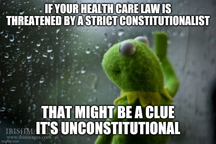 kermit window | IF YOUR HEALTH CARE LAW IS THREATENED BY A STRICT CONSTITUTIONALIST; THAT MIGHT BE A CLUE IT'S UNCONSTITUTIONAL | image tagged in kermit window | made w/ Imgflip meme maker