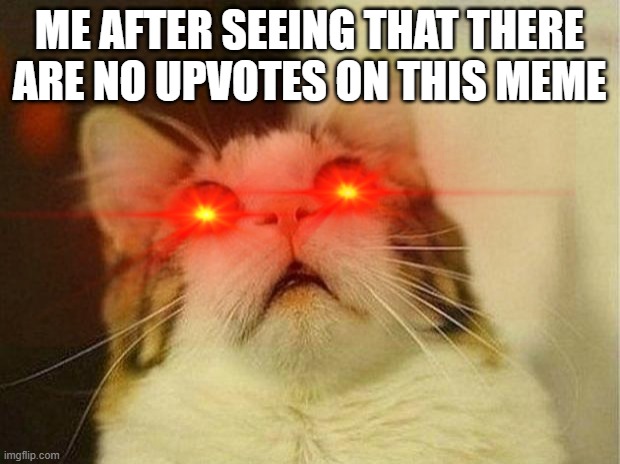 ME AFTER SEEING THAT THERE ARE NO UPVOTES ON THIS MEME | image tagged in scared cat,angry cat | made w/ Imgflip meme maker