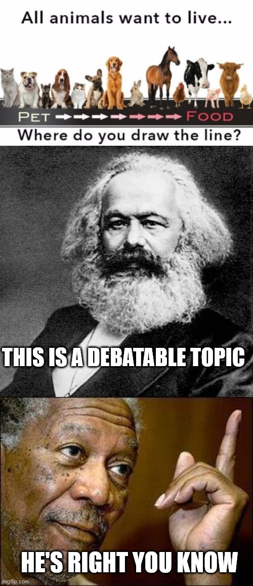 THIS IS A DEBATABLE TOPIC; HE'S RIGHT YOU KNOW | image tagged in karl marx,he's right you know,peta | made w/ Imgflip meme maker