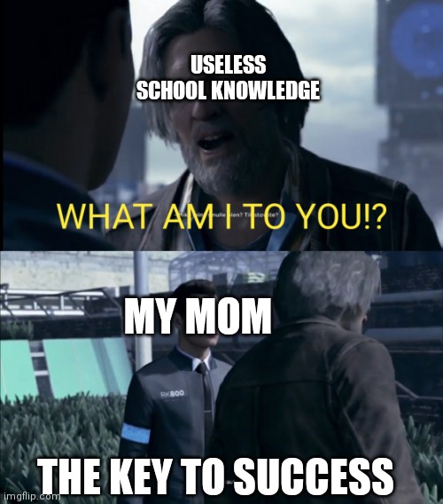 school is useless | USELESS SCHOOL KNOWLEDGE; MY MOM; THE KEY TO SUCCESS | image tagged in what am i to you,school,education | made w/ Imgflip meme maker