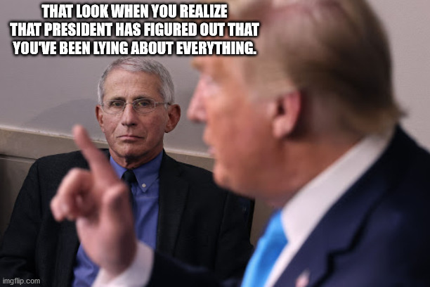 it's over | THAT LOOK WHEN YOU REALIZE THAT PRESIDENT HAS FIGURED OUT THAT YOU'VE BEEN LYING ABOUT EVERYTHING. | image tagged in trump,fauchi | made w/ Imgflip meme maker