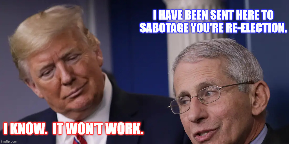 He knew | I HAVE BEEN SENT HERE TO SABOTAGE YOU'RE RE-ELECTION. I KNOW.  IT WON'T WORK. | image tagged in fauchi,trump,covid,sabotage,the truth | made w/ Imgflip meme maker