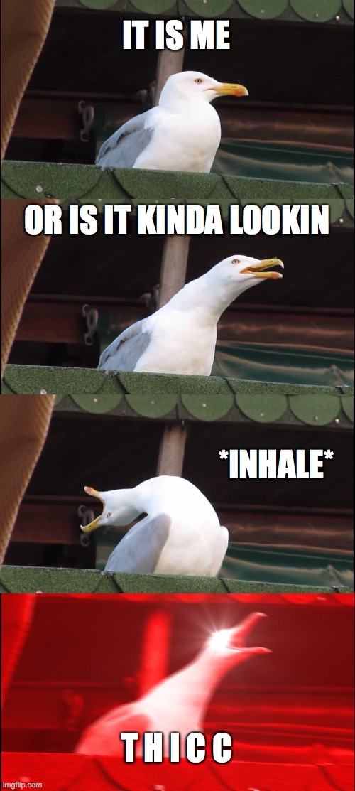 Inhaling Seagull Meme | IT IS ME; OR IS IT KINDA LOOKIN; *INHALE*; T H I C C | image tagged in memes,inhaling seagull | made w/ Imgflip meme maker