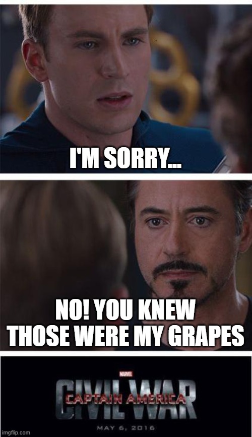 The 5th Avengers movie, leaked scene!!! | I'M SORRY... NO! YOU KNEW THOSE WERE MY GRAPES | image tagged in memes,marvel civil war 1 | made w/ Imgflip meme maker
