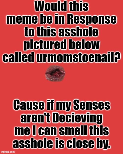 Would this meme be in Response to this asshole pictured below called urmomstoenail? Cause if my Senses aren't Decieving me I can smell this  | made w/ Imgflip meme maker