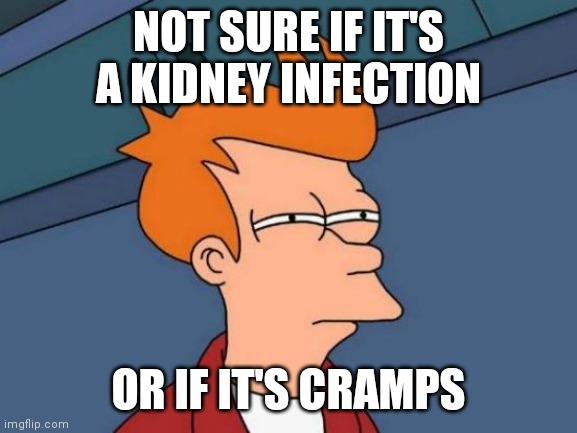 Futurama Fry Meme | NOT SURE IF IT'S A KIDNEY INFECTION; OR IF IT'S CRAMPS | image tagged in memes,futurama fry,ChronicPain | made w/ Imgflip meme maker