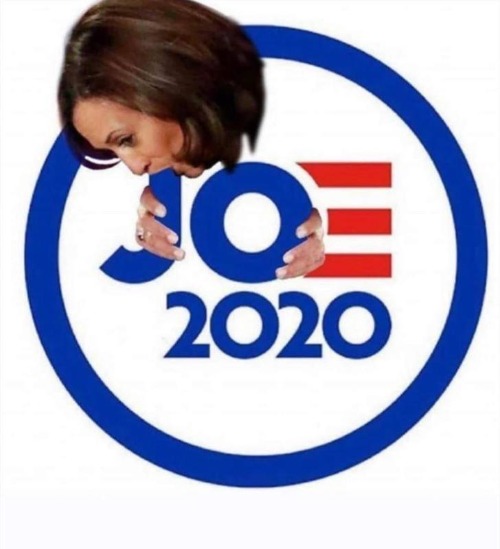 Kamala Sucks 2020 | image tagged in kamala harris,creepy joe biden,sucks,liberals suck,marxism sucks,suck it up | made w/ Imgflip meme maker