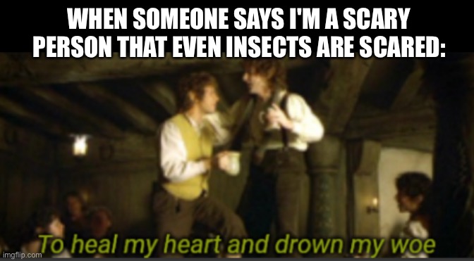 To heal my heart and drown my woe | WHEN SOMEONE SAYS I'M A SCARY PERSON THAT EVEN INSECTS ARE SCARED: | image tagged in to heal my heart and drown my woe | made w/ Imgflip meme maker