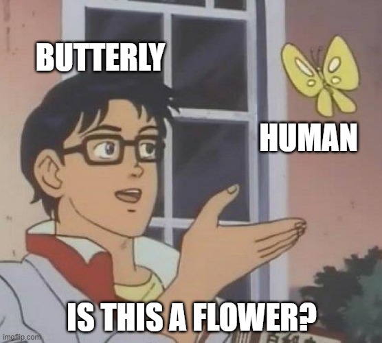 Is This A Pigeon Meme | BUTTERLY; HUMAN; IS THIS A FLOWER? | image tagged in memes,is this a pigeon | made w/ Imgflip meme maker