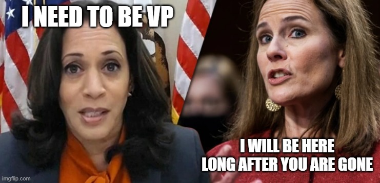 Different views | I NEED TO BE VP; I WILL BE HERE LONG AFTER YOU ARE GONE | image tagged in kamala harris | made w/ Imgflip meme maker