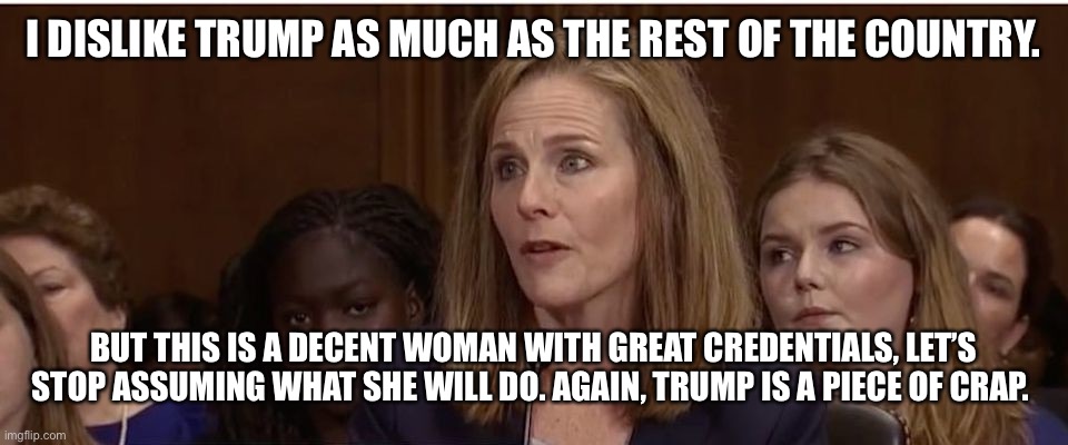 Amy Coney Barrett | I DISLIKE TRUMP AS MUCH AS THE REST OF THE COUNTRY. BUT THIS IS A DECENT WOMAN WITH GREAT CREDENTIALS, LET’S STOP ASSUMING WHAT SHE WILL DO. AGAIN, TRUMP IS A PIECE OF CRAP. | image tagged in amy coney barrett | made w/ Imgflip meme maker