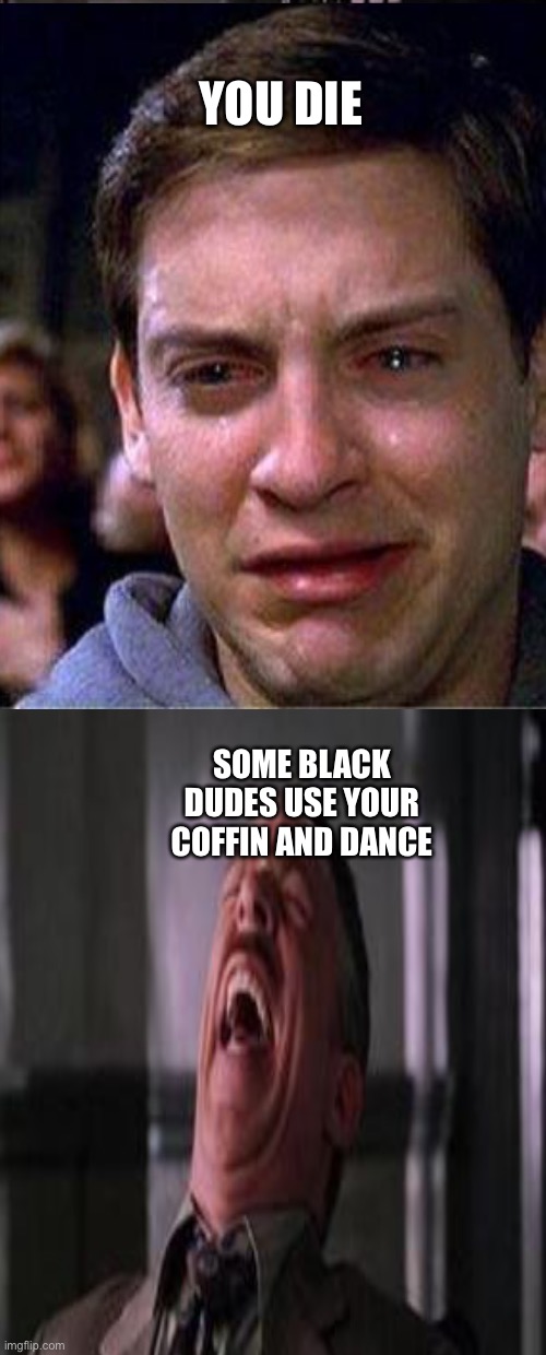 The fun thing about death sometimes | YOU DIE; SOME BLACK DUDES USE YOUR COFFIN AND DANCE | image tagged in coffin dance,spooderman | made w/ Imgflip meme maker