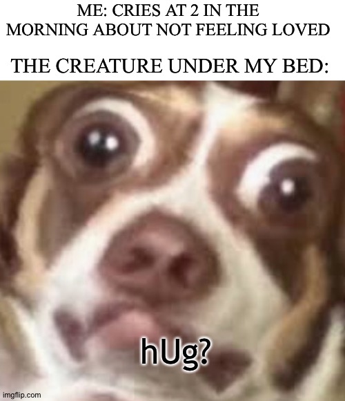 Need a hug? | ME: CRIES AT 2 IN THE MORNING ABOUT NOT FEELING LOVED; THE CREATURE UNDER MY BED:; hUg? | image tagged in need a hug | made w/ Imgflip meme maker
