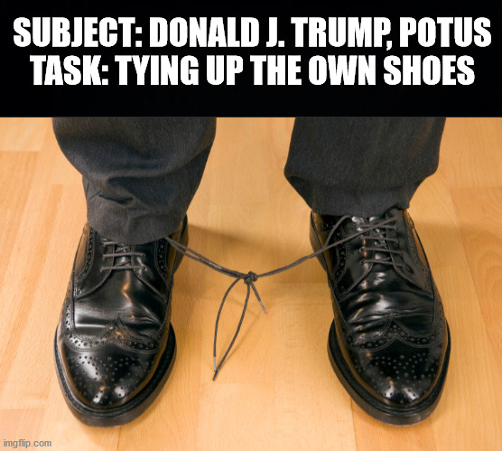 The reason why Trump despises science | SUBJECT: DONALD J. TRUMP, POTUS
TASK: TYING UP THE OWN SHOES | image tagged in trump,unfit,illiterate,science | made w/ Imgflip meme maker