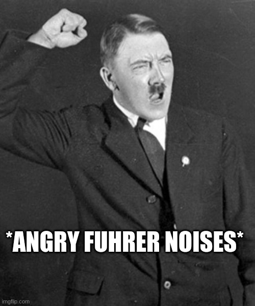 Angry Hitler | *ANGRY FUHRER NOISES* | image tagged in angry hitler | made w/ Imgflip meme maker