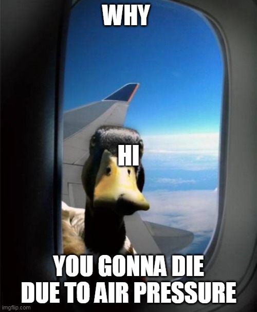 Duck on plane wing | WHY; HI; YOU GONNA DIE DUE TO AIR PRESSURE | image tagged in duck on plane wing | made w/ Imgflip meme maker