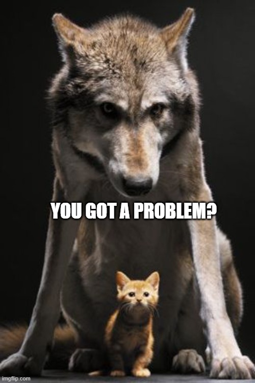 Me, My daughter and her girlfriend, when we go out, People stare, This is me. | YOU GOT A PROBLEM? | image tagged in don't mess with my kid,bisexual,homophobe,daughter | made w/ Imgflip meme maker