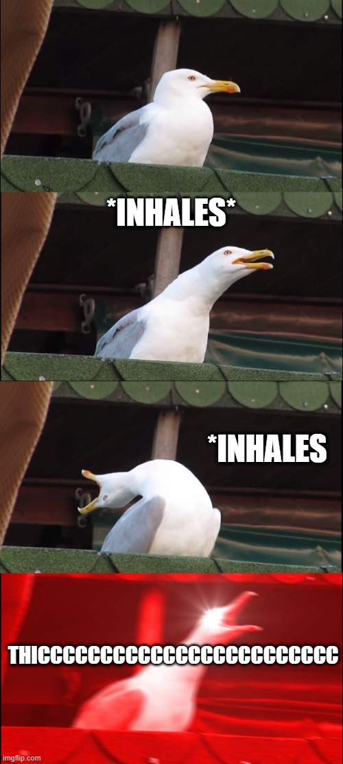 Inhaling Seagull Meme | *INHALES*; *INHALES; THICCCCCCCCCCCCCCCCCCCCCCCC | image tagged in memes,inhaling seagull | made w/ Imgflip meme maker