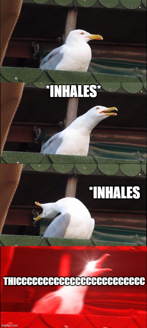 Inhaling Seagull | *INHALES*; *INHALES; THICCCCCCCCCCCCCCCCCCCCCCCC | image tagged in memes,inhaling seagull | made w/ Imgflip meme maker