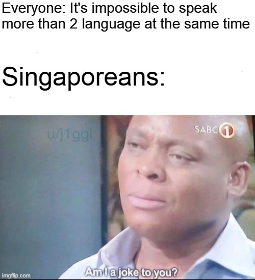Lmao | Everyone: It's impossible to speak more than 2 language at the same time; Singaporeans: | image tagged in am i a joke to you | made w/ Imgflip meme maker