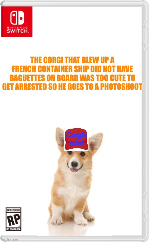The sequel that I promised. Sorry I couldn’t find transparent images | THE CORGI THAT BLEW UP A FRENCH CONTAINER SHIP DID NOT HAVE BAGUETTES ON BOARD WAS TOO CUTE TO GET ARRESTED SO HE GOES TO A PHOTOSHOOT; Corgis rule! | image tagged in nintendo switch cartridge case,corgi | made w/ Imgflip meme maker