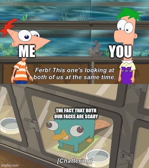 phineas and ferb | ME YOU THE FACT THAT BOTH OUR FACES ARE SCARY | image tagged in phineas and ferb | made w/ Imgflip meme maker