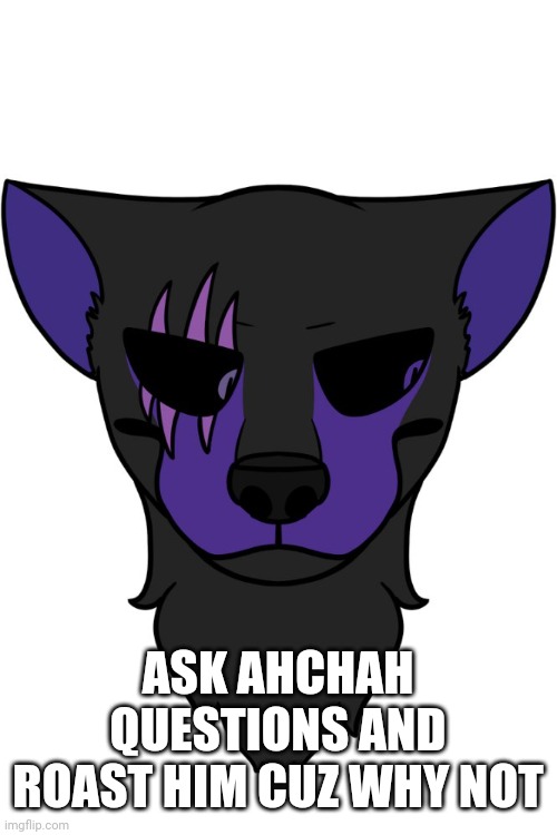Quick Bio: former psychopathic murderer, Avery's boyfriend, prince and brother of the hero frisky | ASK AHCHAH QUESTIONS AND ROAST HIM CUZ WHY NOT | image tagged in ahchah | made w/ Imgflip meme maker
