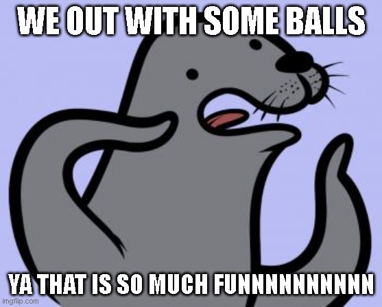 Homophobic Seal Meme |  WE OUT WITH SOME BALLS; YA THAT IS SO MUCH FUNNNNNNNNNN | image tagged in memes,homophobic seal,ball | made w/ Imgflip meme maker